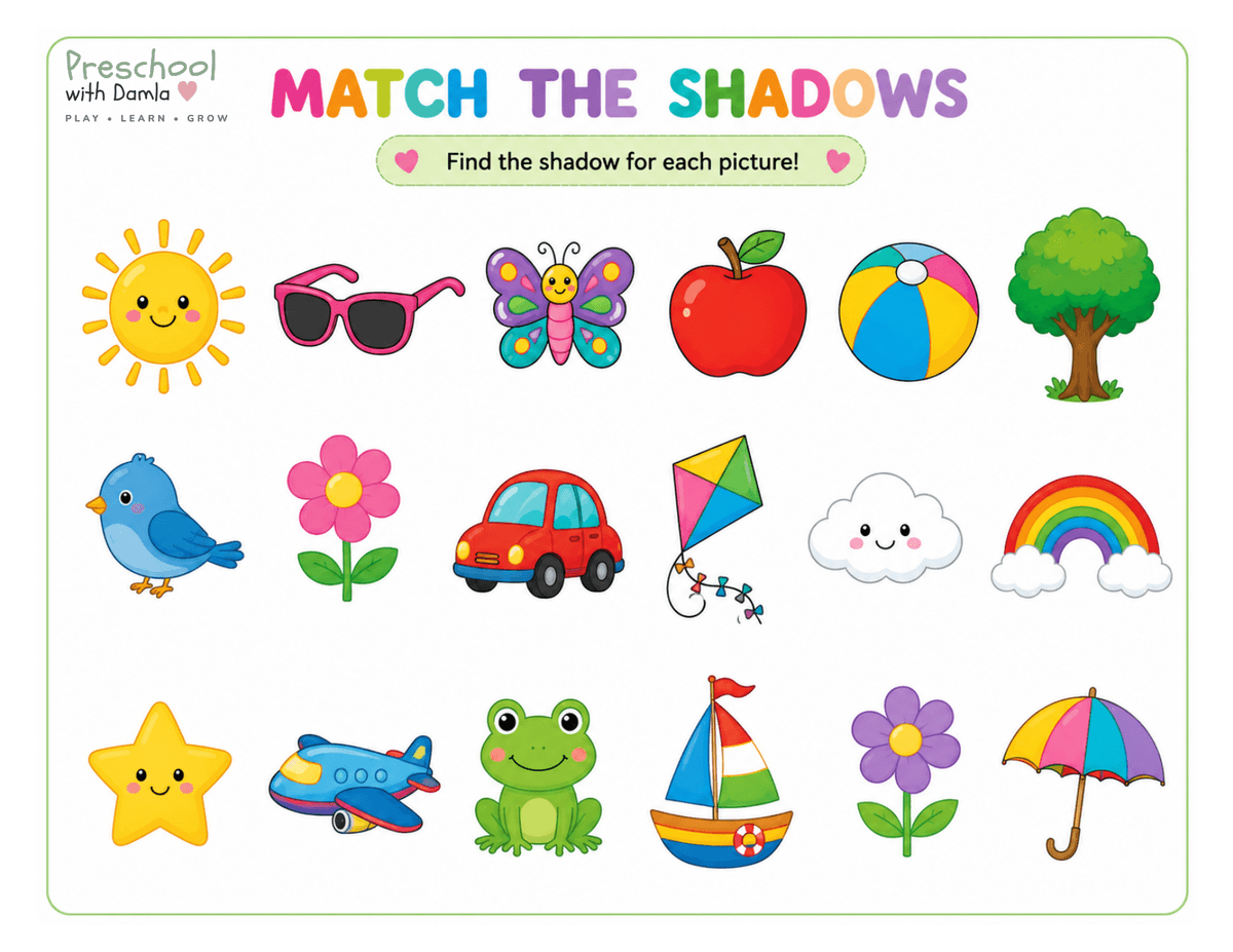 Preview of Five Senses Sight: Match the Shadows