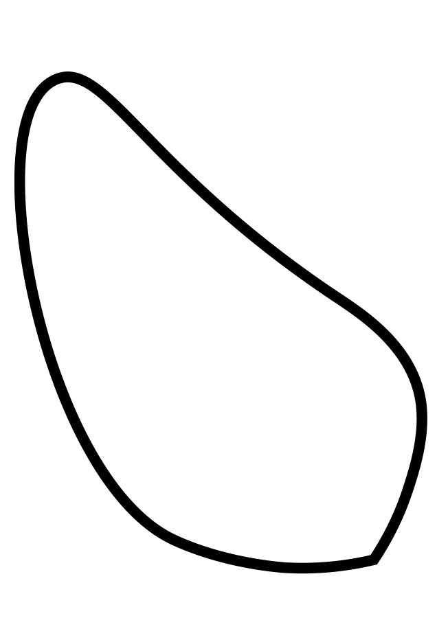 Preview of Flower Parts Printable